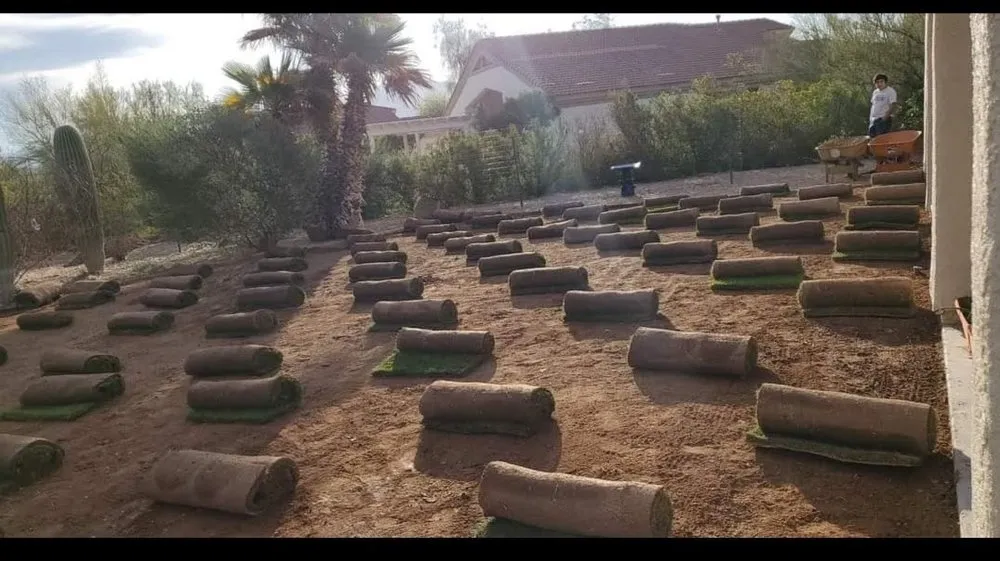 Local garden landscaping in Tucson, AZ - Eunique Desert Landscaping