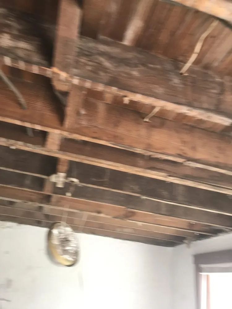 Custom lawn mowing service with custom design in Pittsburgh, PA by Euphoric Essentials