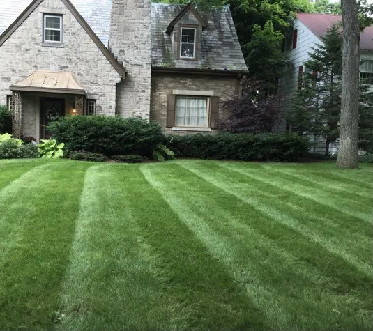 Professional yard cleanup service in Pittsburgh, PA - Euphoric Essentials