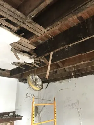 Euphoric Essentials Logo