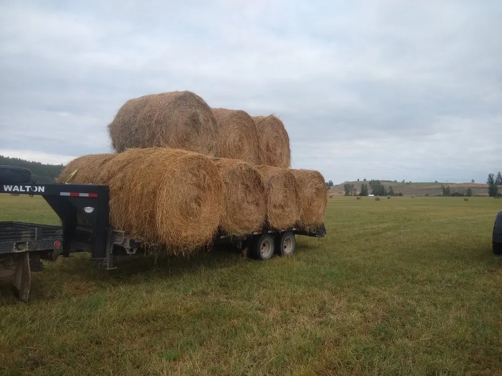 Local outdoor landscaping for year-round maintenance in Eureka, MT by Eureka Equipment