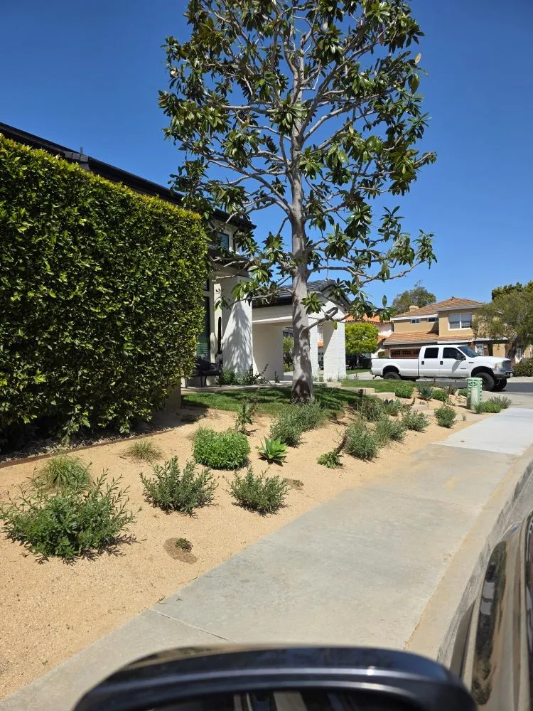 Professional garden landscaping for year-round maintenance across Santa Monica, CA - Eureka Floriculture & Installation