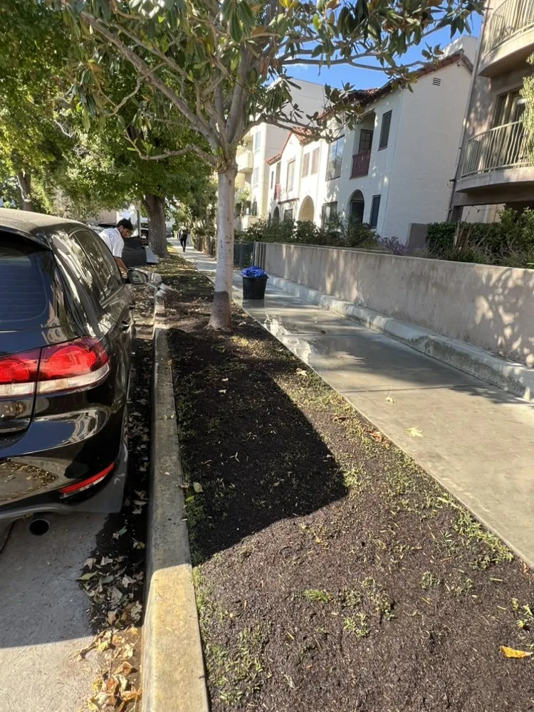 Expert lawn mowing service in Santa Monica, CA by Eureka Floriculture & Installation