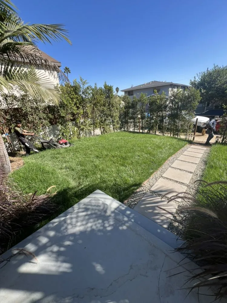 Professional lawn care service for year-round maintenance across Santa Monica, CA - Eureka Floriculture & Installation