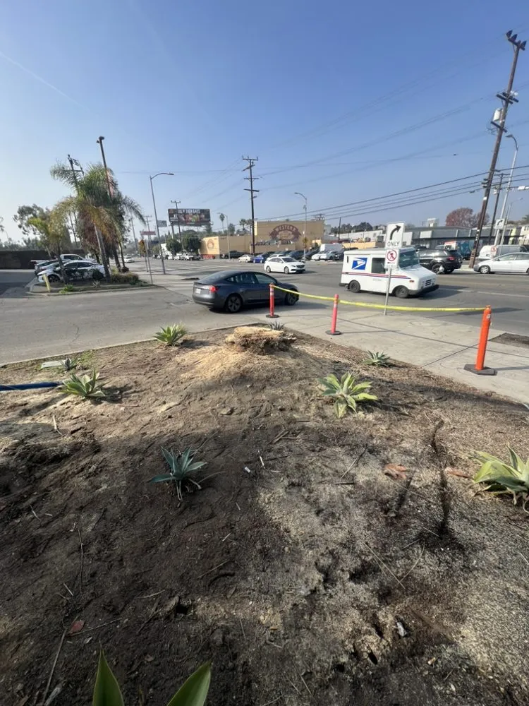 Local landscaping services in Santa Monica, CA by Eureka Floriculture & Installation