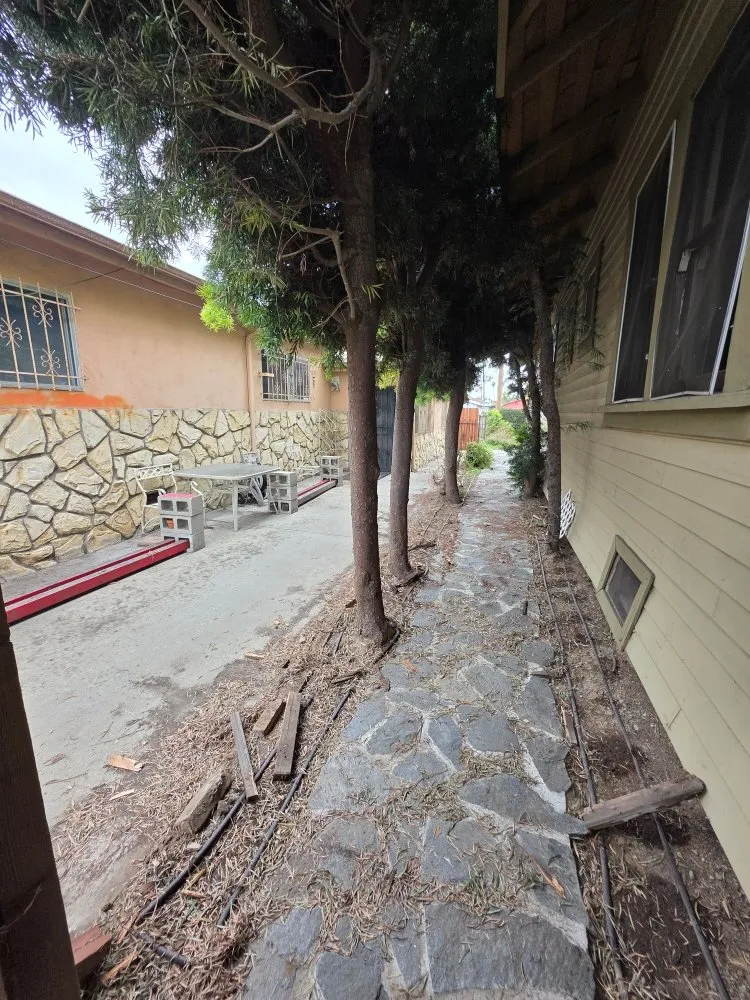 Affordable landscape installation in Santa Monica, CA by Eureka Floriculture & Installation