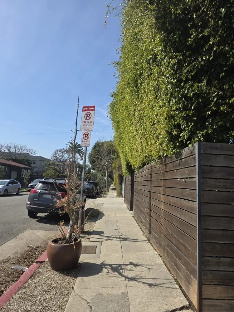 Top-rated lawn care service in Santa Monica, CA by Eureka Floriculture & Installation