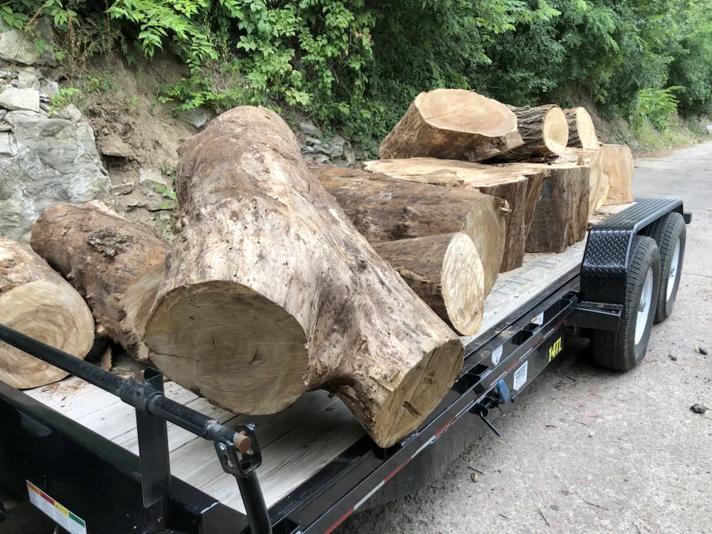 Reliable yard cleanup service experts serving Missouri Valley, IA - Eureka Landscaping And Stump Removal