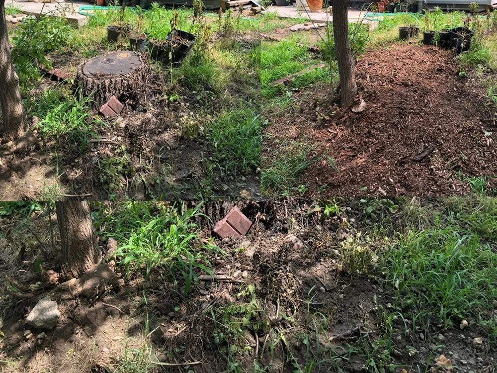 Top-rated outdoor landscaping for residential properties in Missouri Valley, IA by Eureka Landscaping And Stump Removal