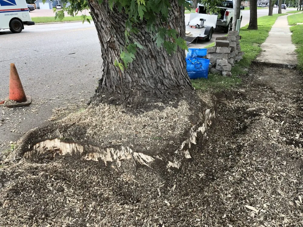 Custom lawn mowing service experts serving Missouri Valley, IA - Eureka Landscaping And Stump Removal