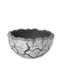 Top-rated yard cleanup service in Colleyville, TX by European Gardens