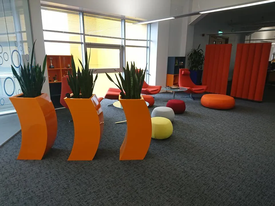 Custom yard cleanup service for beautiful yards in Colleyville, TX by European Gardens