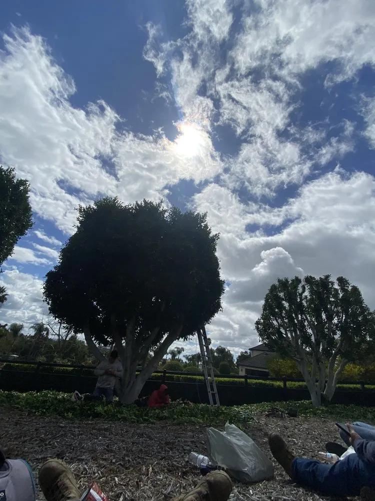 Custom outdoor landscaping in Fallbrook, CA by Eusebio Tree Services and Landscape