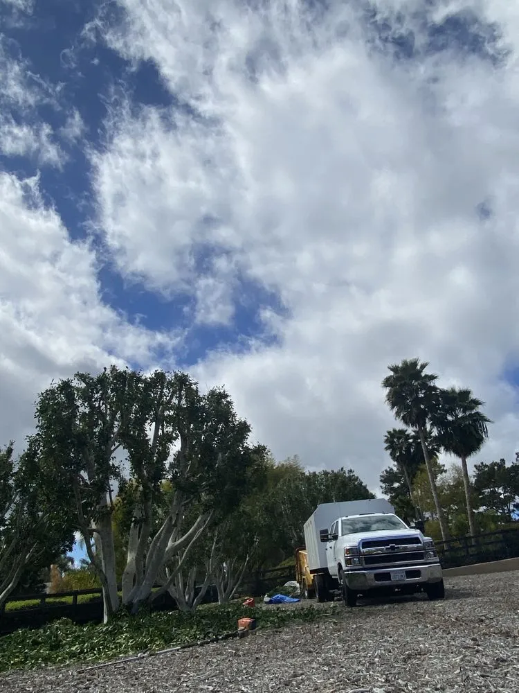 Local landscape installation near you across Fallbrook, CA - Eusebio Tree Services and Landscape