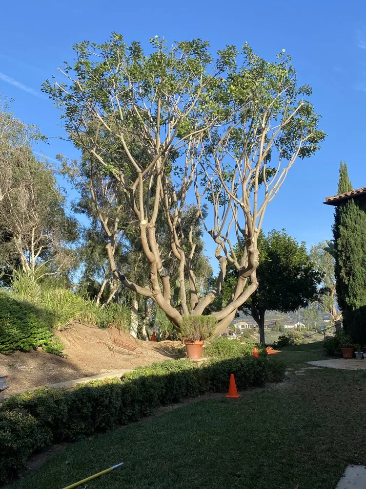 Professional garden landscaping near you in Fallbrook, CA by Eusebio Tree Services and Landscape