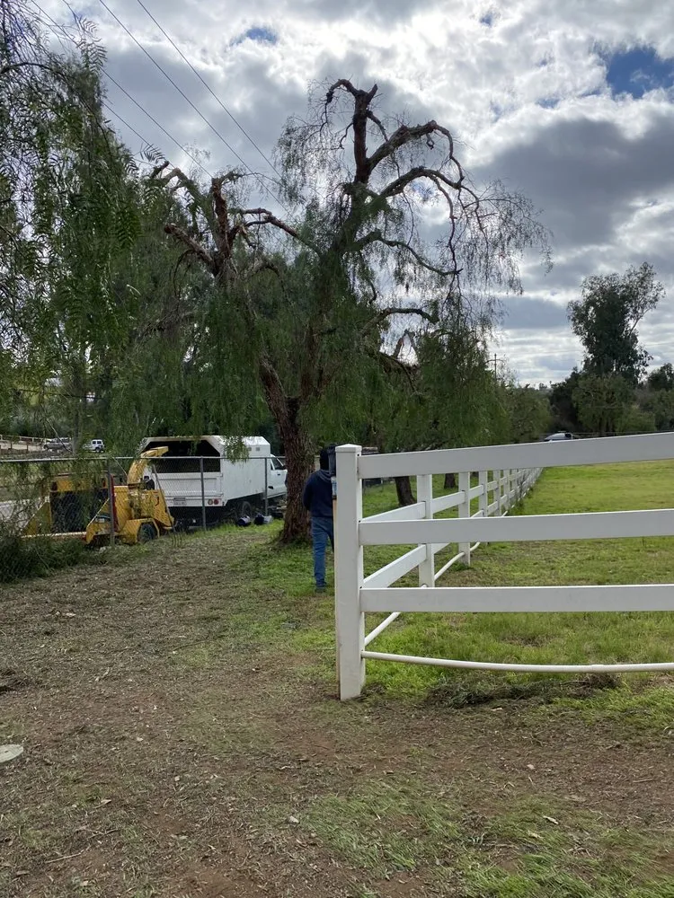 Local yard maintenance in Fallbrook, CA - Eusebio Tree Services and Landscape