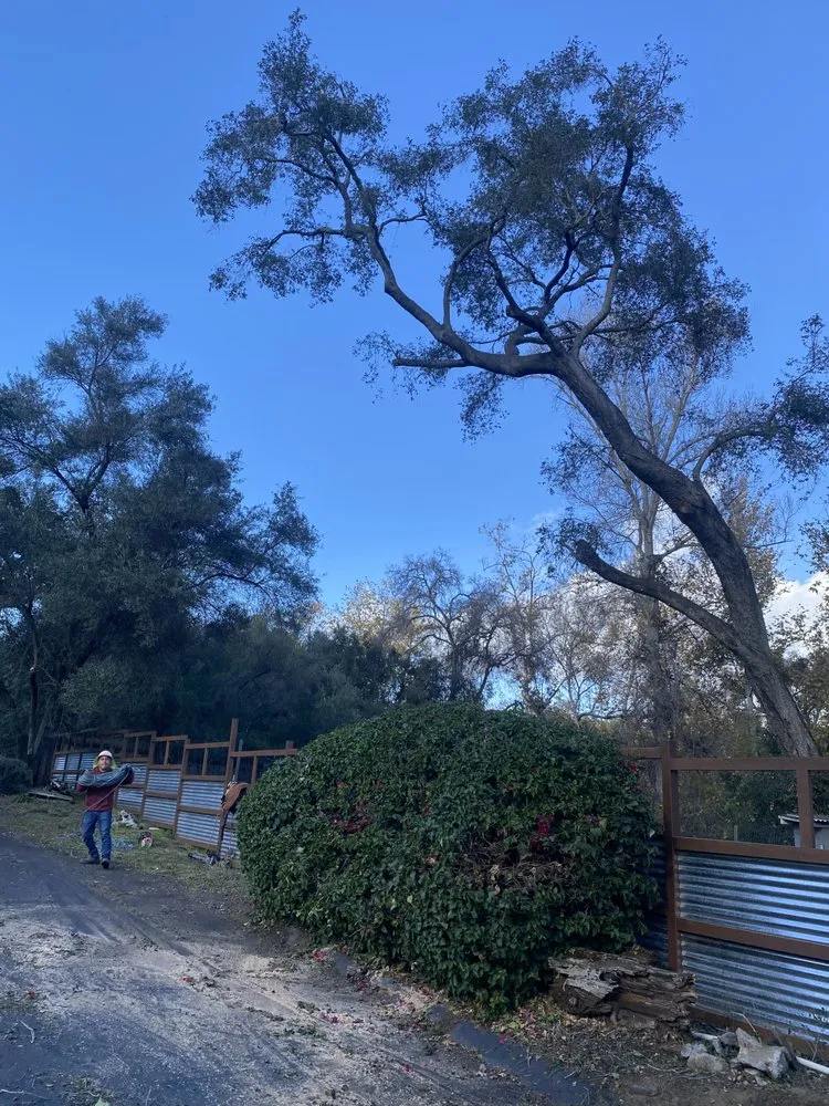 Reliable residential landscaping experts serving Fallbrook, CA - Eusebio Tree Services and Landscape