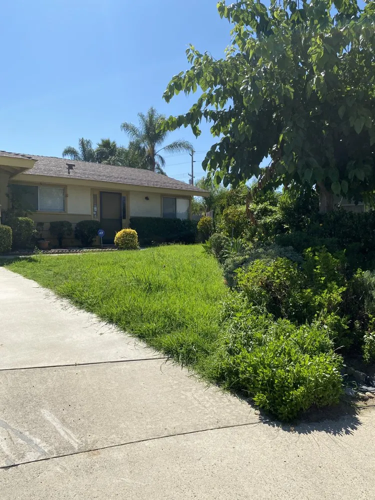 Local yard maintenance for homes across Fallbrook, CA - Eusebio Tree Services and Landscape