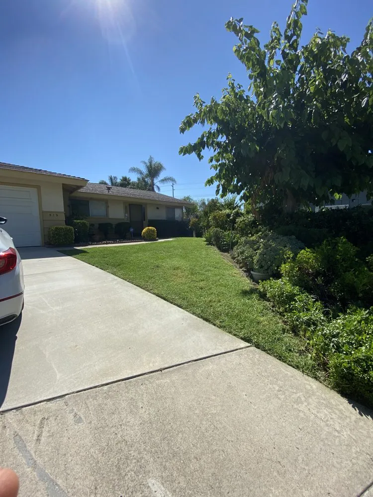 Top-rated yard maintenance for outdoor upgrades in Fallbrook, CA by Eusebio Tree Services and Landscape