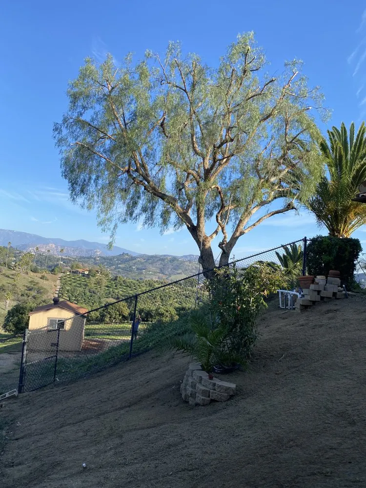 Trusted lawn mowing service for year-round maintenance across Fallbrook, CA - Eusebio Tree Services and Landscape