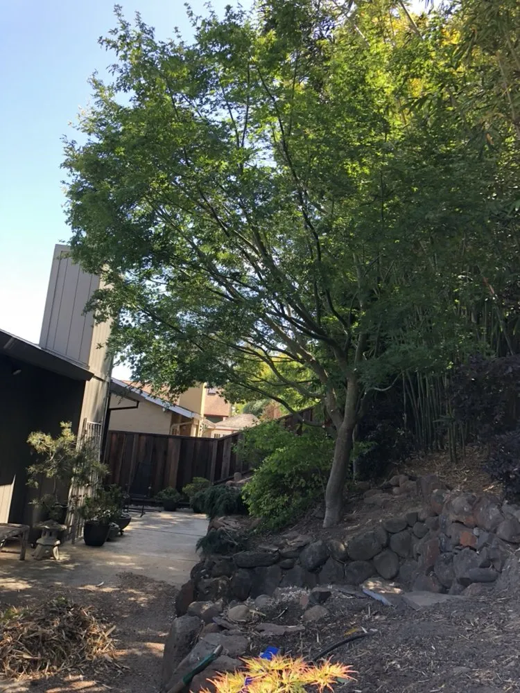 Top-rated residential landscaping in Watsonville, CA - Ev Construction And Landscaping