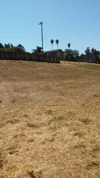 Reliable landscaping services in Watsonville, CA by Ev Construction And Landscaping