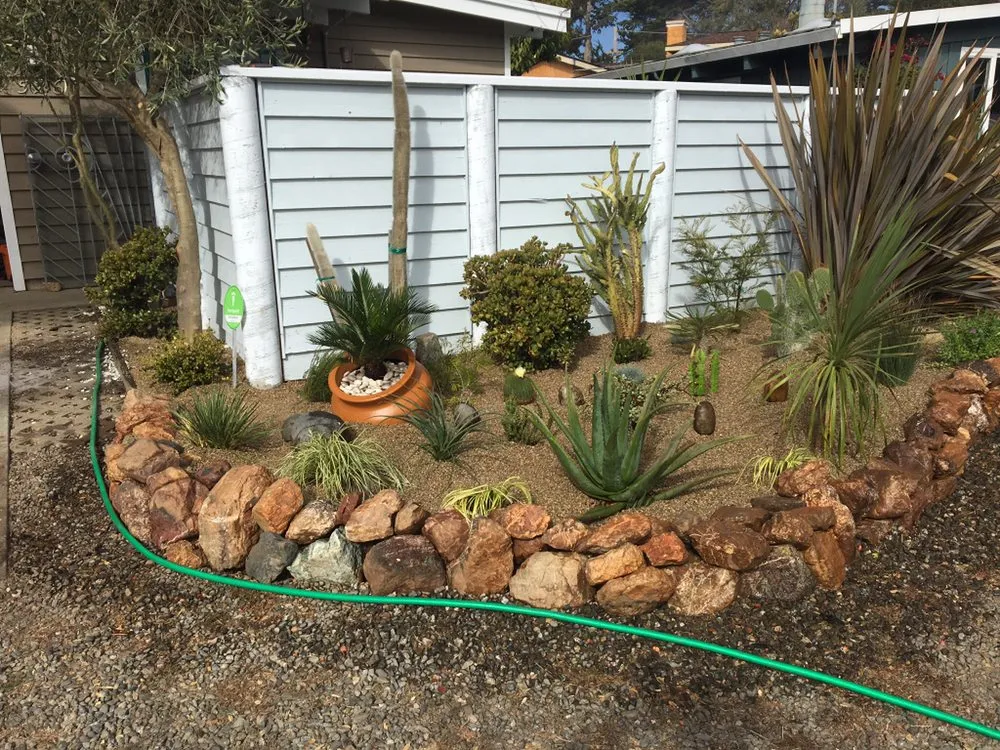 Reliable yard cleanup service in Watsonville, CA - Ev Construction And Landscaping
