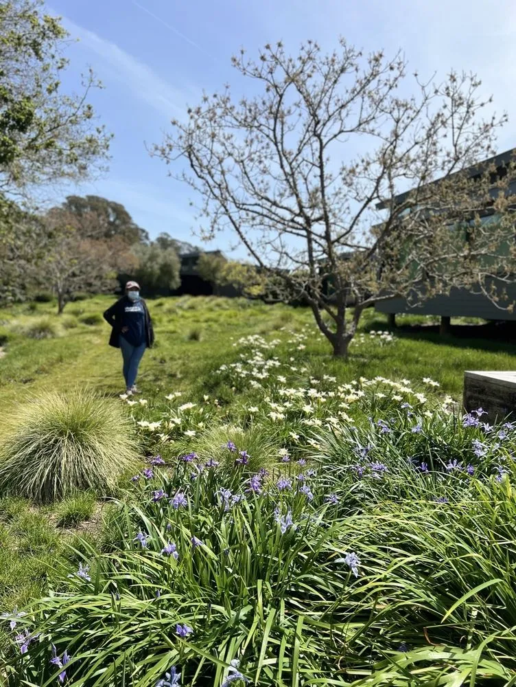 Local landscaping services experts serving Watsonville, CA - Ev Construction And Landscaping