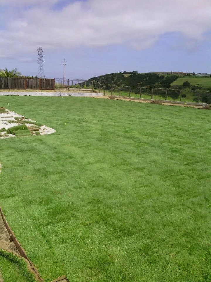 Top-rated lawn care service in Watsonville, CA by Ev Construction And Landscaping