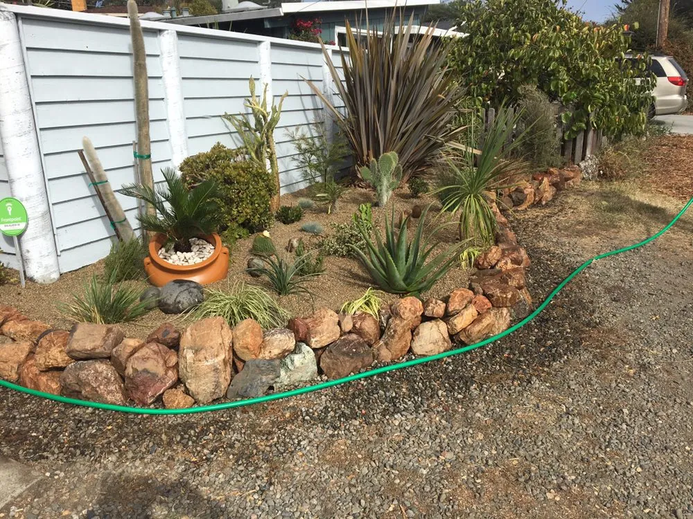 Local yard cleanup service for year-round maintenance in Watsonville, CA by Ev Construction And Landscaping