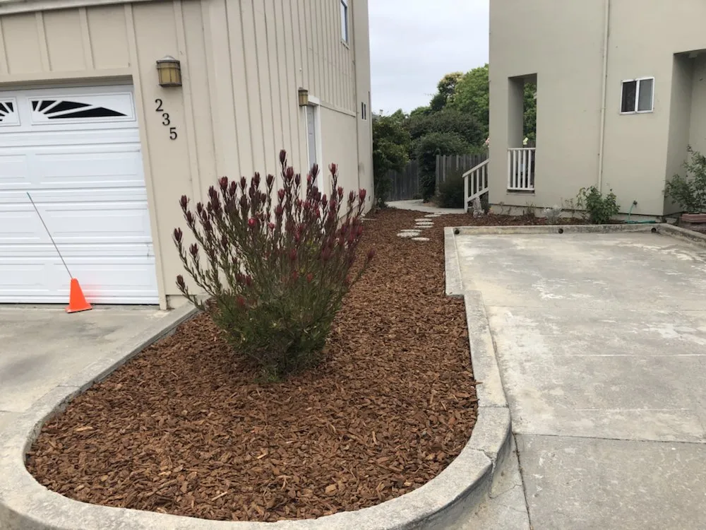 Trusted yard cleanup service experts serving Watsonville, CA - Ev Construction And Landscaping