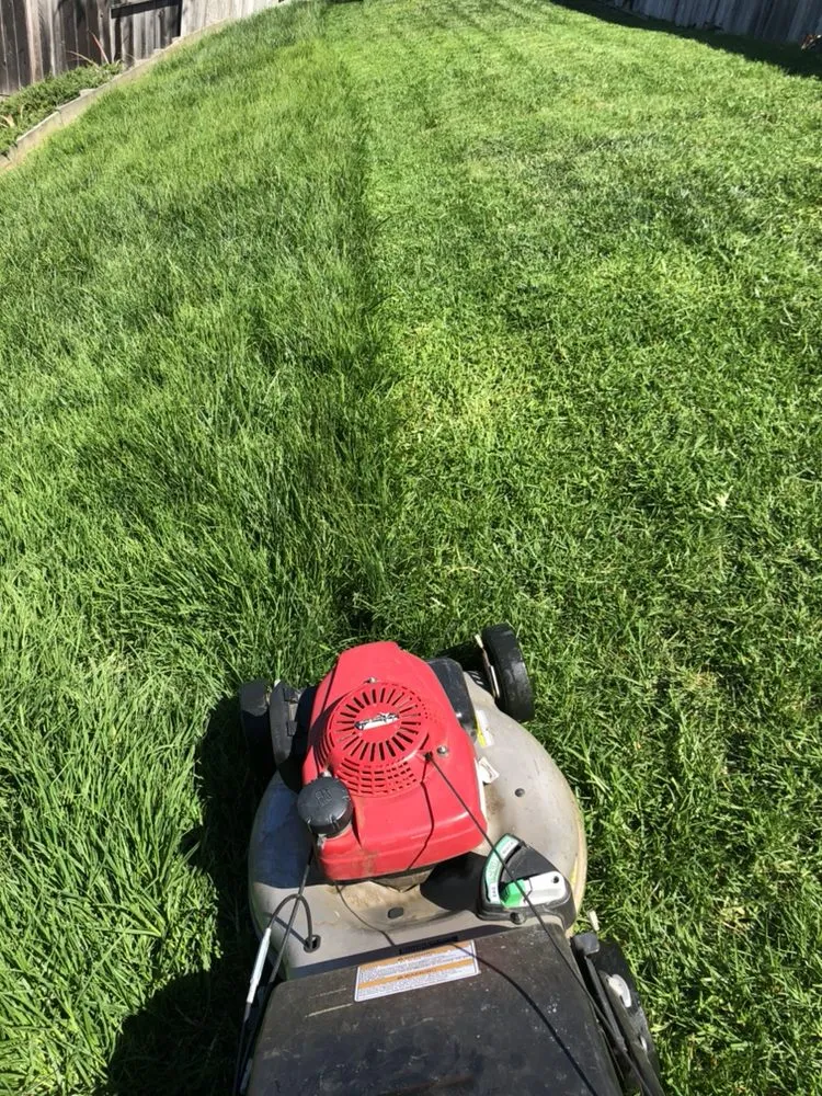 Trusted landscape installation for outdoor upgrades across Watsonville, CA - Ev Construction And Landscaping