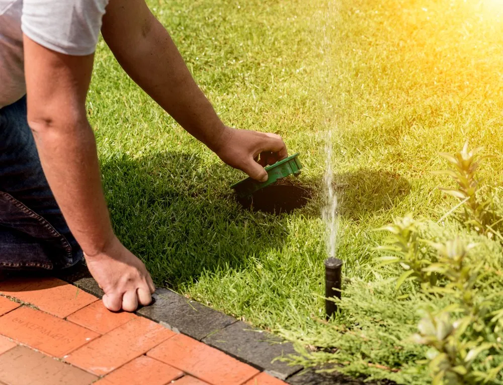 Custom yard cleanup service for residential properties across San Jose, CA - EV Landscape Services