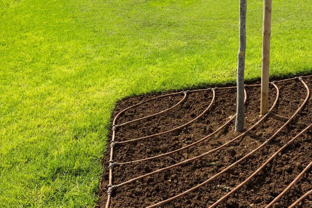 Trusted outdoor landscaping near you across San Jose, CA - EV Landscape Services