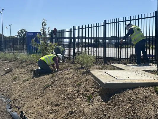 EV Landscape Services Logo