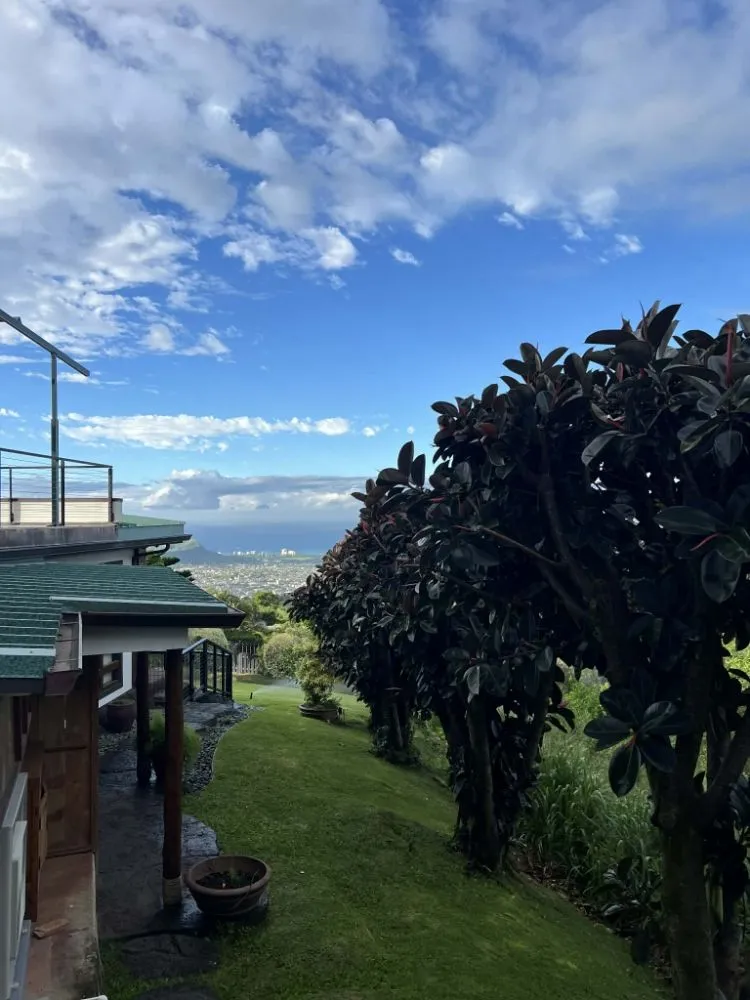 Custom landscaping services for beautiful yards in Ewa Beach, HI by E&V Landscaping