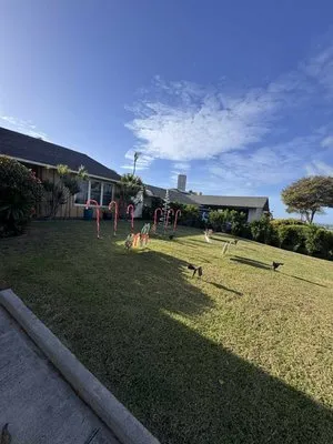 E&V Landscaping Logo