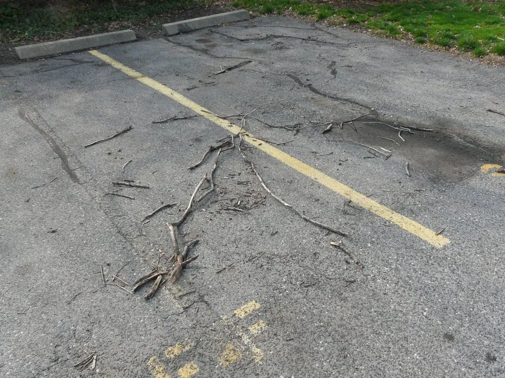 Affordable landscape installation in Stamford, CT by EV Landscaping