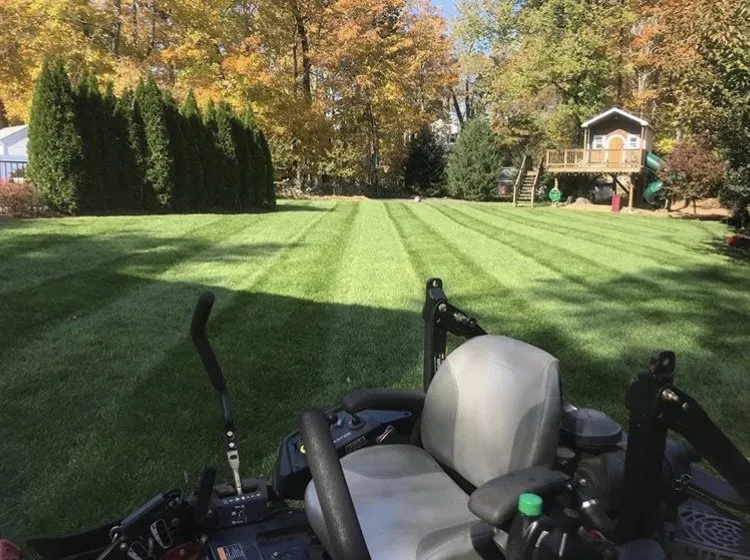 Custom yard cleanup service experts serving Stamford, CT - EV Landscaping