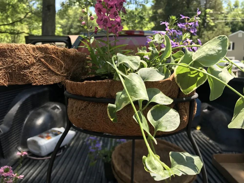 Affordable lawn care service experts serving Stamford, CT - EV Landscaping