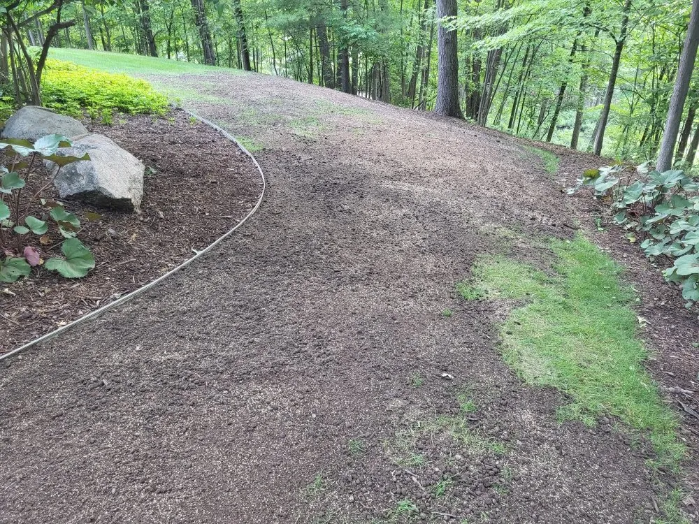 Professional yard maintenance for year-round maintenance in Wyoming, MI by E&V Landscaping