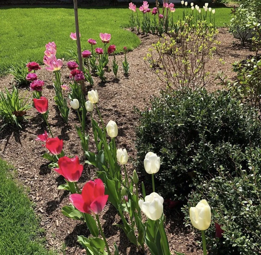 Top-rated lawn care service experts serving Pleasantville, NJ - EV Lawn & Landscape