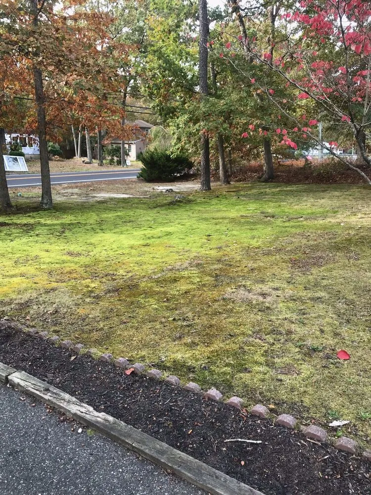 Trusted garden landscaping in Pleasantville, NJ by EV Lawn & Landscape