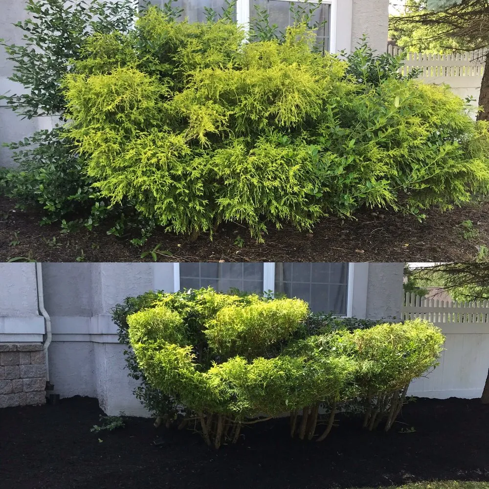 Affordable outdoor landscaping for homes across Pleasantville, NJ - EV Lawn & Landscape
