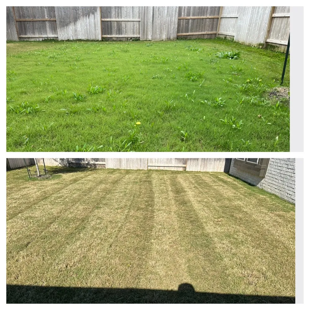 Professional lawn care service experts serving Rosharon, TX - Ev professional servicies
