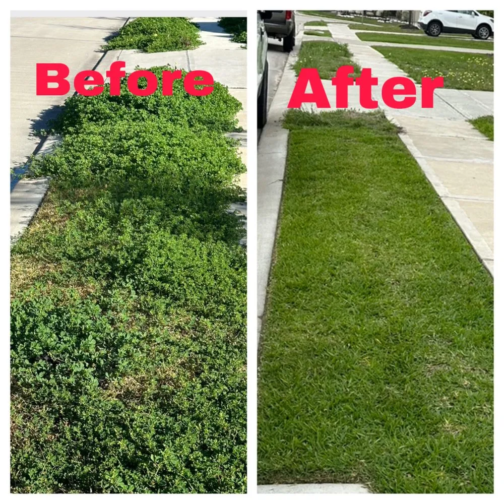 Top-rated lawn mowing service in Rosharon, TX - Ev professional servicies