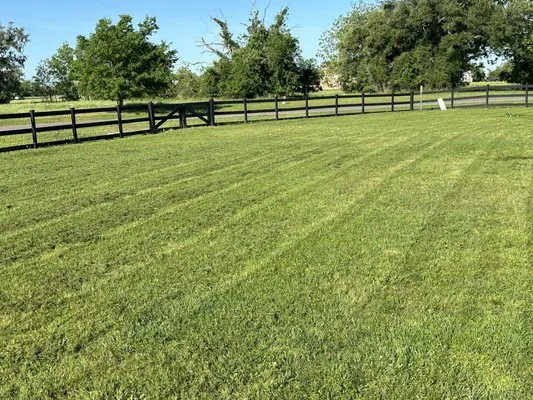 Ev professional servicies Logo