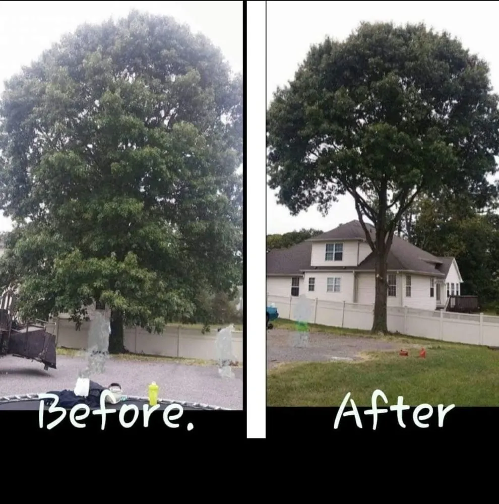 Trusted landscape installation in Apalachin, NY by EV Tree & Landscaping