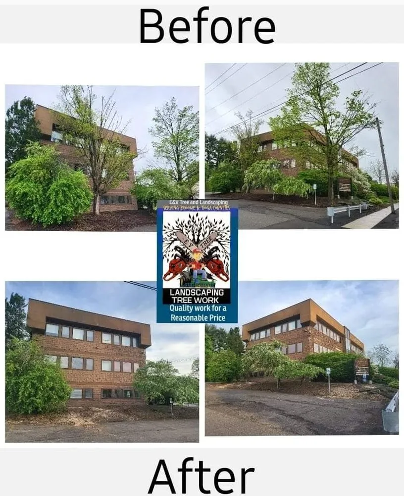 Top-rated landscape design in Apalachin, NY - EV Tree & Landscaping