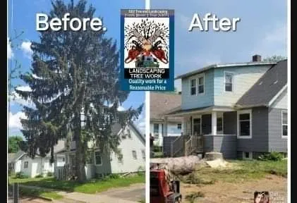 Trusted lawn care service for residential properties across Apalachin, NY - EV Tree & Landscaping
